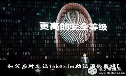 如何应对忘记Tokenim助记词的困境？