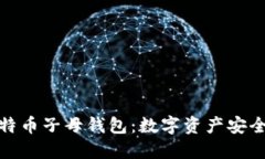 揭秘比特币子母钱包：数字资产安全新选择
