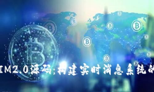 深入解析IM2.0源码：构建实时消息系统的全景指南