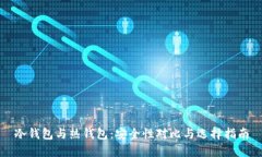 冷钱包与热钱包：安全性对比与选择指南