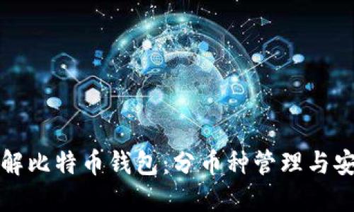 深入了解比特币钱包：分币种管理与安全策略