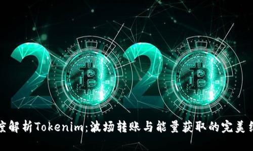 深度解析Tokenim：波场转账与能量获取的完美结合
