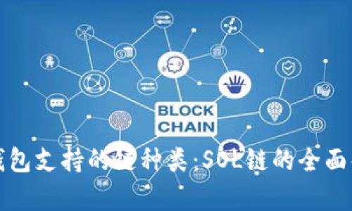 TP钱包支持的链种类：SOL链的全面解析