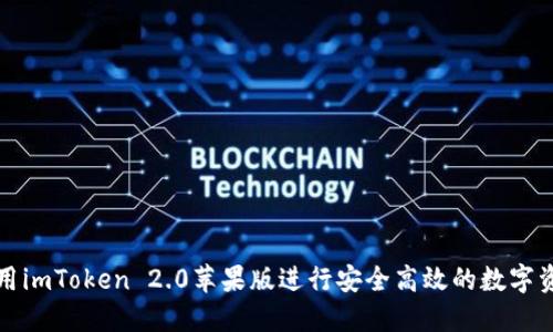 如何使用imToken 2.0苹果版进行安全高效的数字资产管理