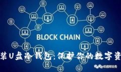 如何安装U盘冷钱包：保护