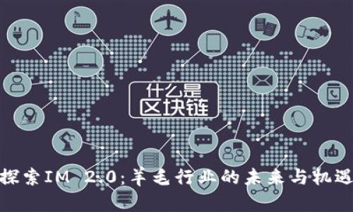 探索IM 2.0：羊毛行业的未来与机遇