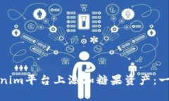 : 如何在Tokenim平台上添加糖果资产：一步一步的