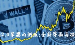 探索im2.0苹果内测版：全新